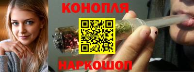 индика Гусев