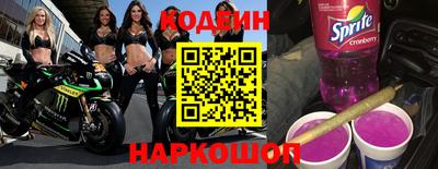 индика Гусев