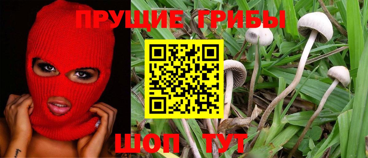 ГАШИШ  Бошки Шишки  Меф МЯУ МЯУ   Можга  Вход с VPN 
