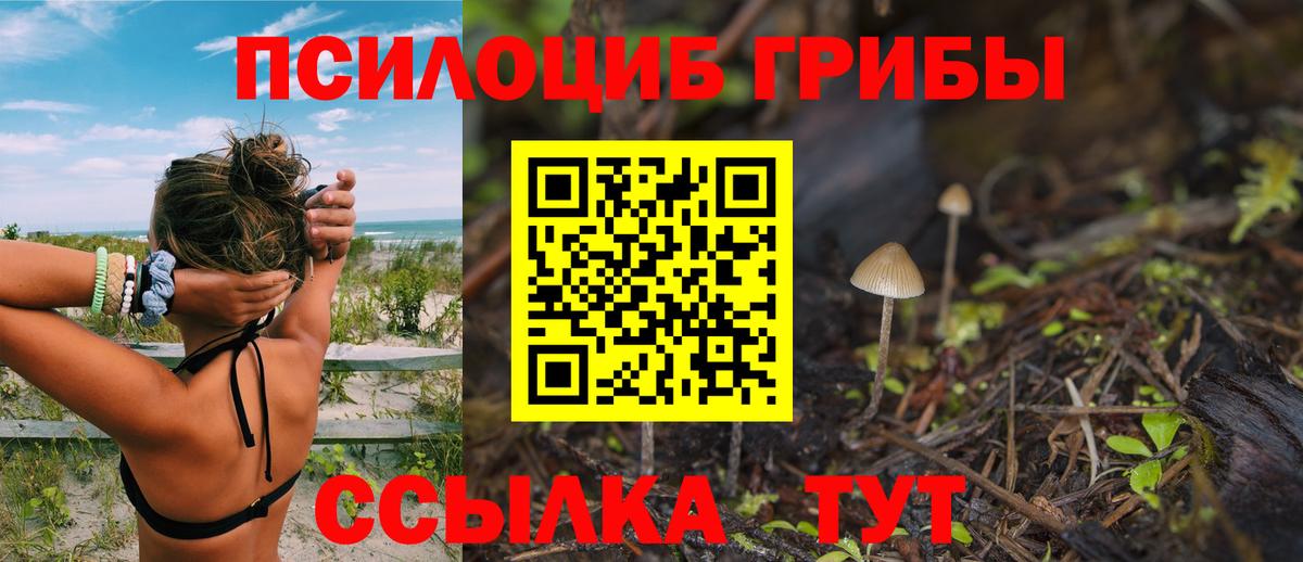 Псилоцибиновые грибы MAGIC MUSHROOMS Можга