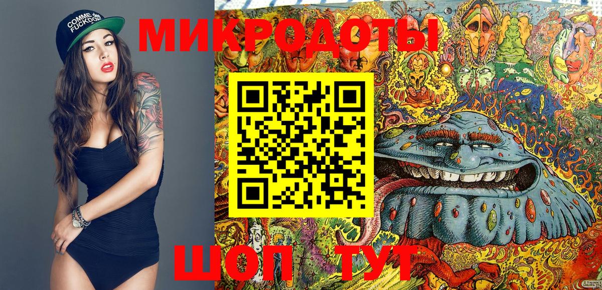 Галлюциногенные грибы Psilocybine cubensis  Вход с VPN  Можга 