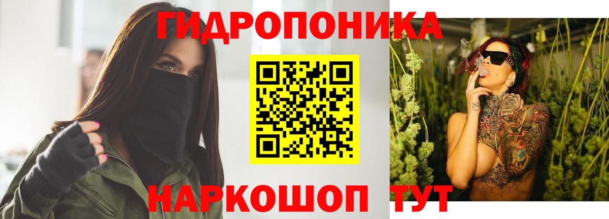 Шишки марихуана OG Kush Можга